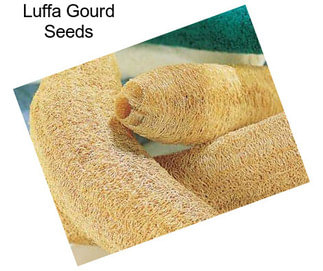 Luffa Gourd Seeds