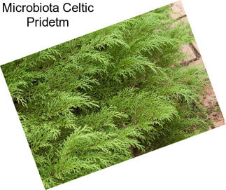 Microbiota Celtic Pridetm