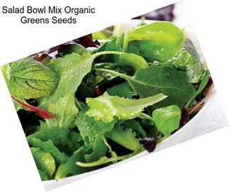 Salad Bowl Mix Organic Greens Seeds