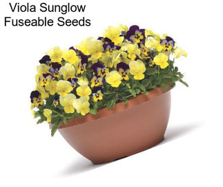 Viola Sunglow Fuseable Seeds