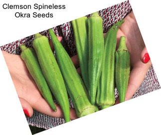 Clemson Spineless Okra Seeds