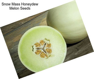 Snow Mass Honeydew Melon Seeds