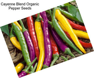 Cayenne Blend Organic Pepper Seeds