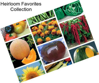 Heirloom Favorites Collection