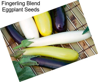 Fingerling Blend Eggplant Seeds