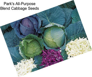 Park\'s All-Purpose Blend Cabbage Seeds