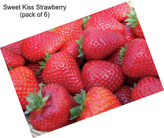 Sweet Kiss Strawberry (pack of 6)