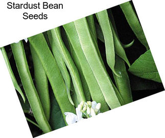 Stardust Bean Seeds