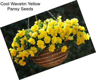 Cool Wavetm Yellow Pansy Seeds