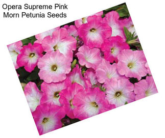 Opera Supreme Pink Morn Petunia Seeds