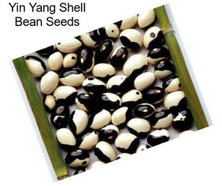 Yin Yang Shell Bean Seeds