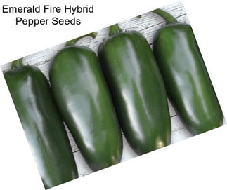 Emerald Fire Hybrid Pepper Seeds