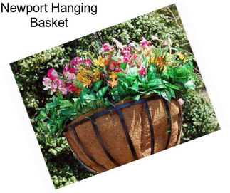 Newport Hanging Basket