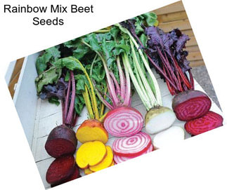 Rainbow Mix Beet Seeds