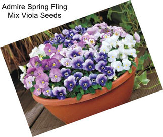 Admire Spring Fling Mix Viola Seeds