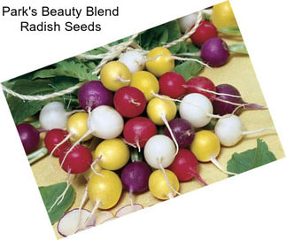 Park\'s Beauty Blend Radish Seeds