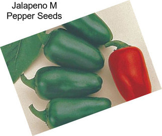 Jalapeno M Pepper Seeds