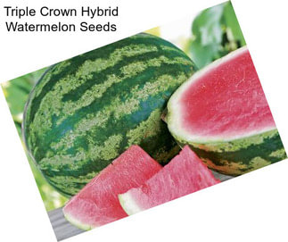 Triple Crown Hybrid Watermelon Seeds