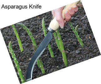 Asparagus Knife