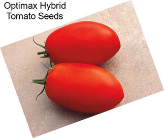 Optimax Hybrid Tomato Seeds