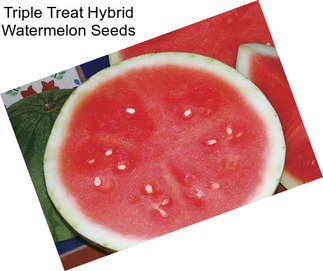 Triple Treat Hybrid Watermelon Seeds