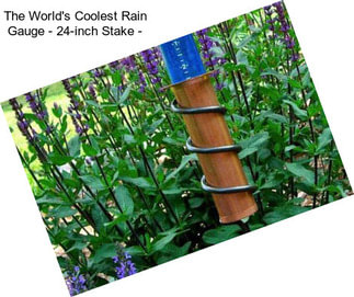 The World\'s Coolest Rain Gauge - 24-inch Stake -