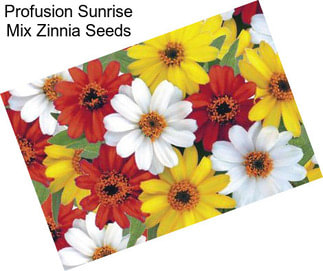 Profusion Sunrise Mix Zinnia Seeds