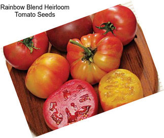 Rainbow Blend Heirloom Tomato Seeds