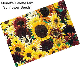 Monet\'s Palette Mix Sunflower Seeds