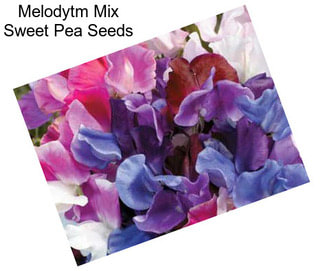 Melodytm Mix Sweet Pea Seeds