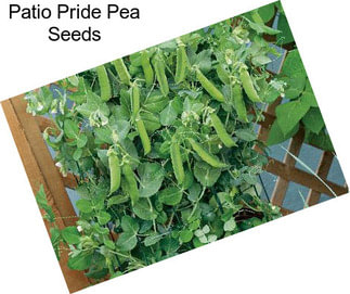 Patio Pride Pea Seeds
