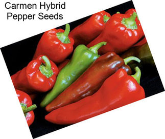 Carmen Hybrid Pepper Seeds
