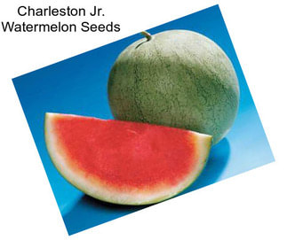 Charleston Jr. Watermelon Seeds