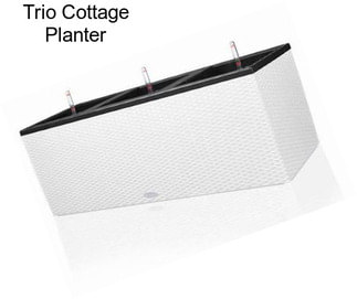 Trio Cottage Planter