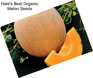 Hale\'s Best Organic Melon Seeds