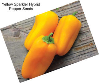 Yellow Sparkler Hybrid Pepper Seeds