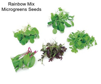 Rainbow Mix Microgreens Seeds