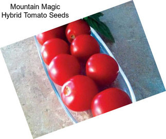 Mountain Magic Hybrid Tomato Seeds