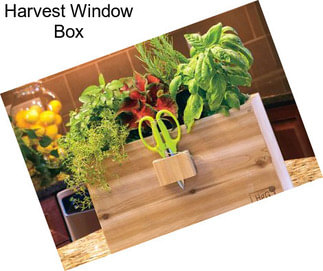 Harvest Window Box