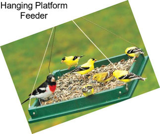 Hanging Platform Feeder