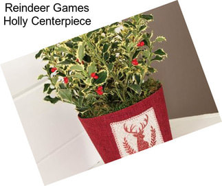 Reindeer Games Holly Centerpiece