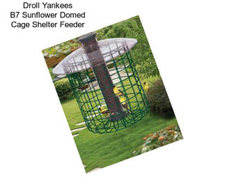 Droll Yankees B7 Sunflower Domed Cage Shelter Feeder