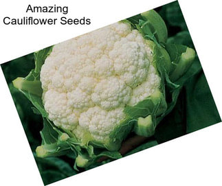 Amazing Cauliflower Seeds