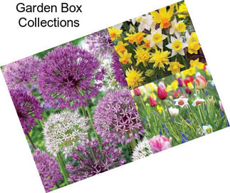 Garden Box Collections