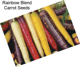 Rainbow Blend Carrot Seeds