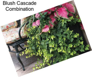 Blush Cascade Combination