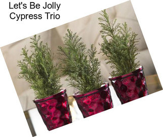 Let\'s Be Jolly Cypress Trio