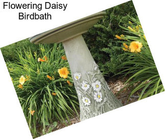 Flowering Daisy Birdbath