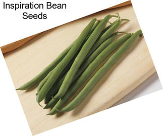 Inspiration Bean Seeds