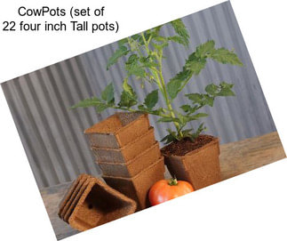 CowPots (set of 22 four inch Tall pots)